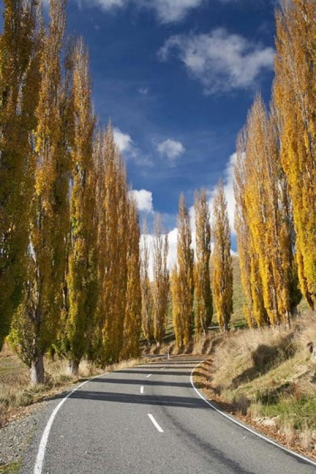 Autumn Rangitikei District North Island New Zealand Canvas Art - David Wall DanitaDelimont (23 x 34)