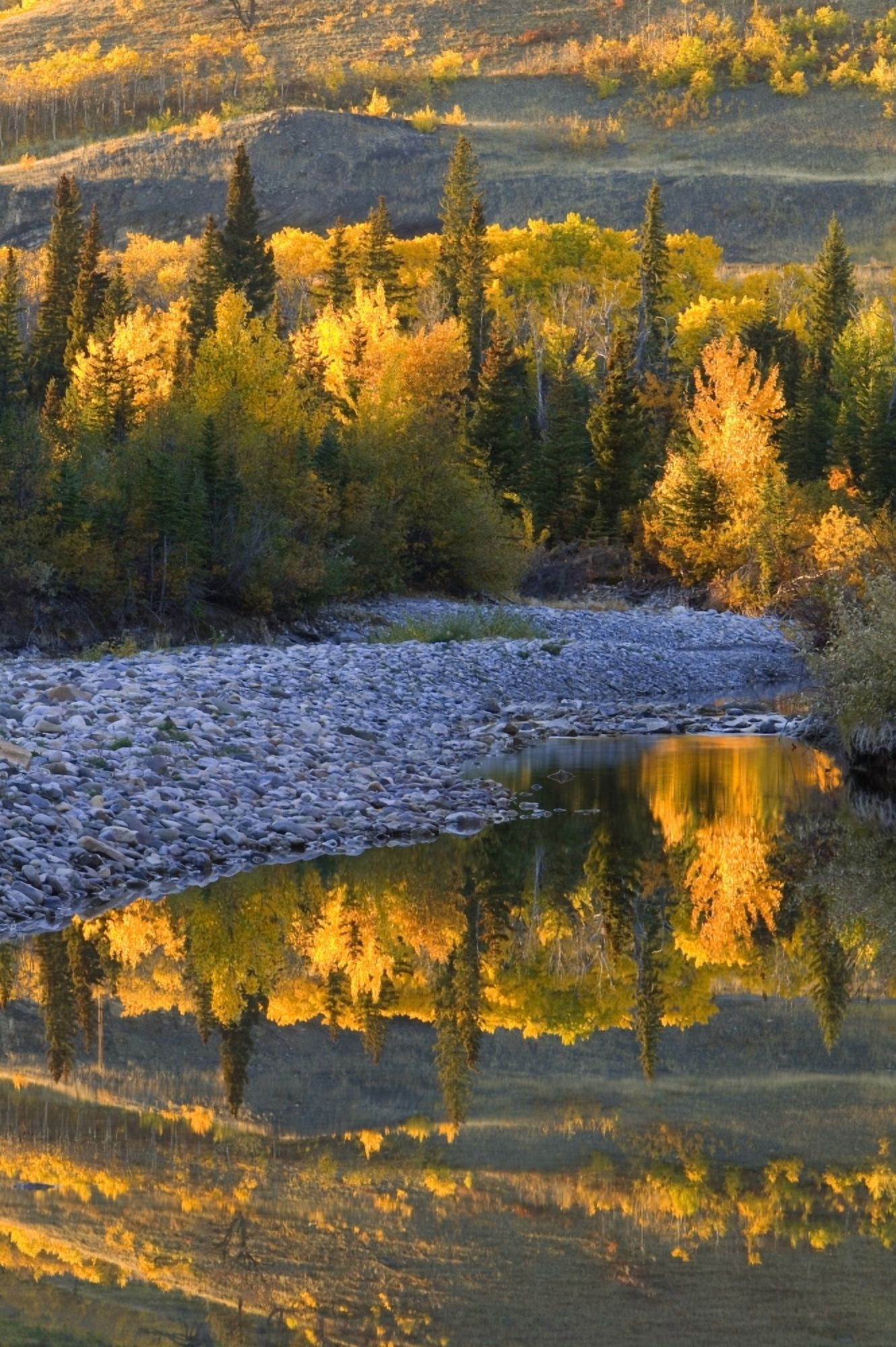 Autumn Reflections Canvas Art - Carson Ganci Design Pics (22 x 34)