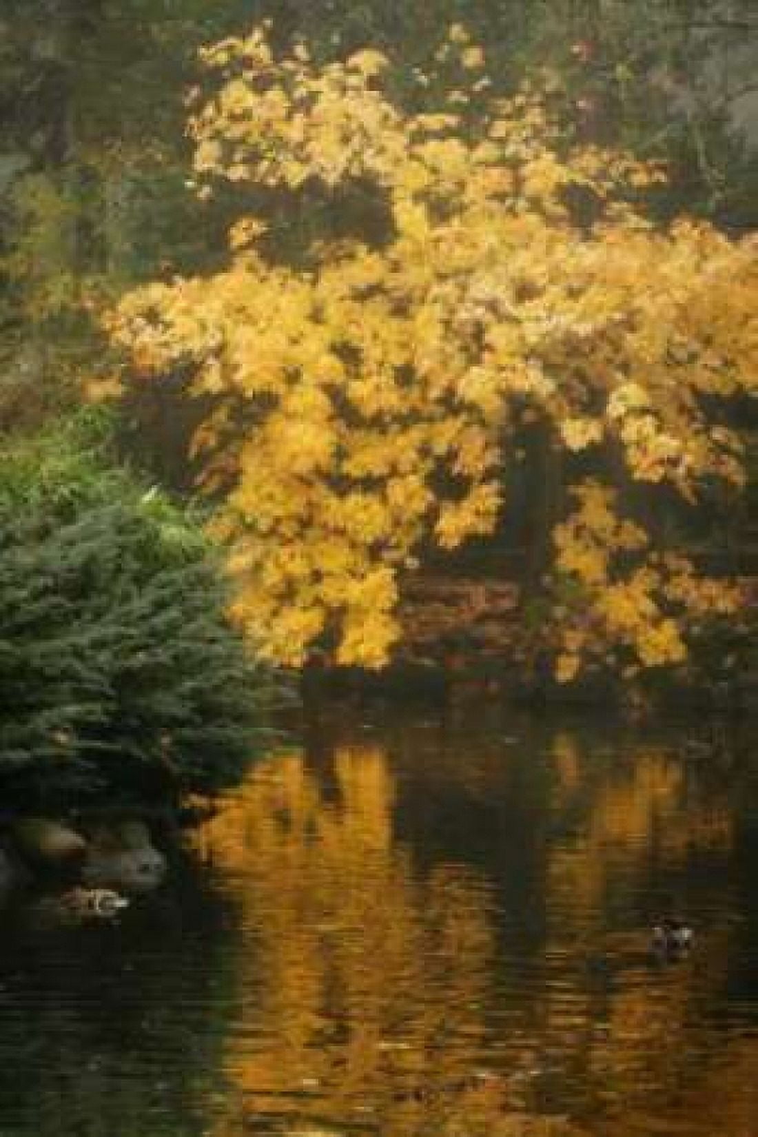 Autumn Reflections I Canvas Art - Vitaly Geyman (24 x 36)