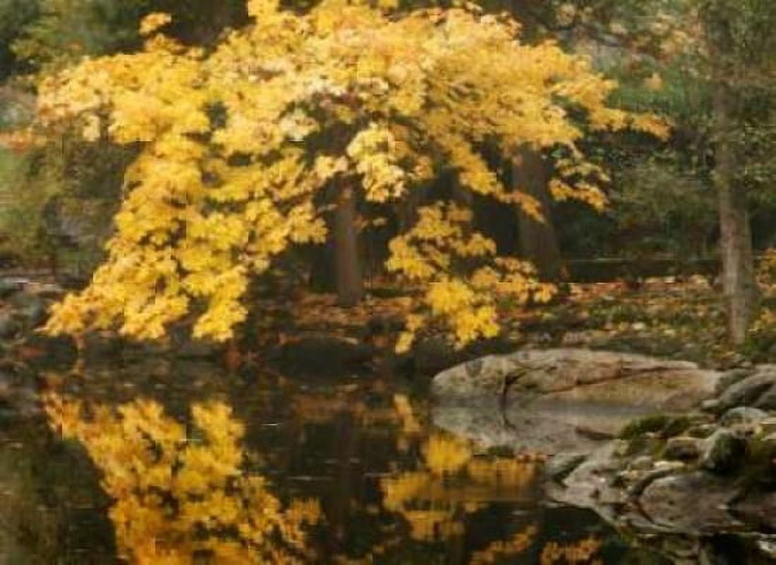 Autumn Reflections II Canvas Art - Vitaly Geyman (18 x 24)
