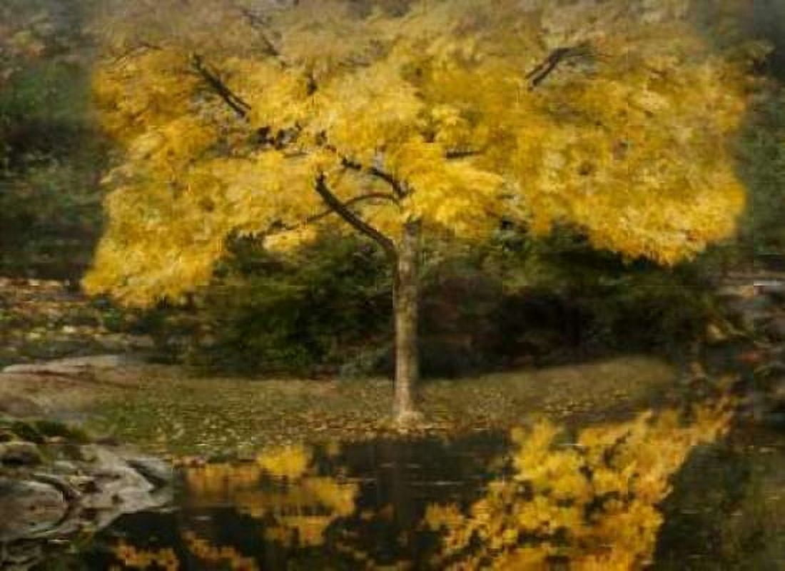 Autumn Reflections III Canvas Art - Vitaly Geyman (18 x 24)