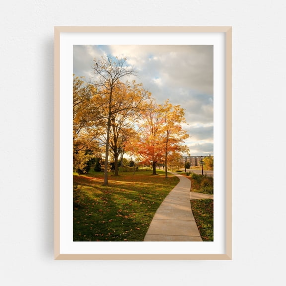 Autumn at Richardson Olmsted Campus, Buffalo - Buffalo New York Photography Autumn Landscape Nature Scenic Woodland Oak Framed Wall Art Print 16 x 24 inches