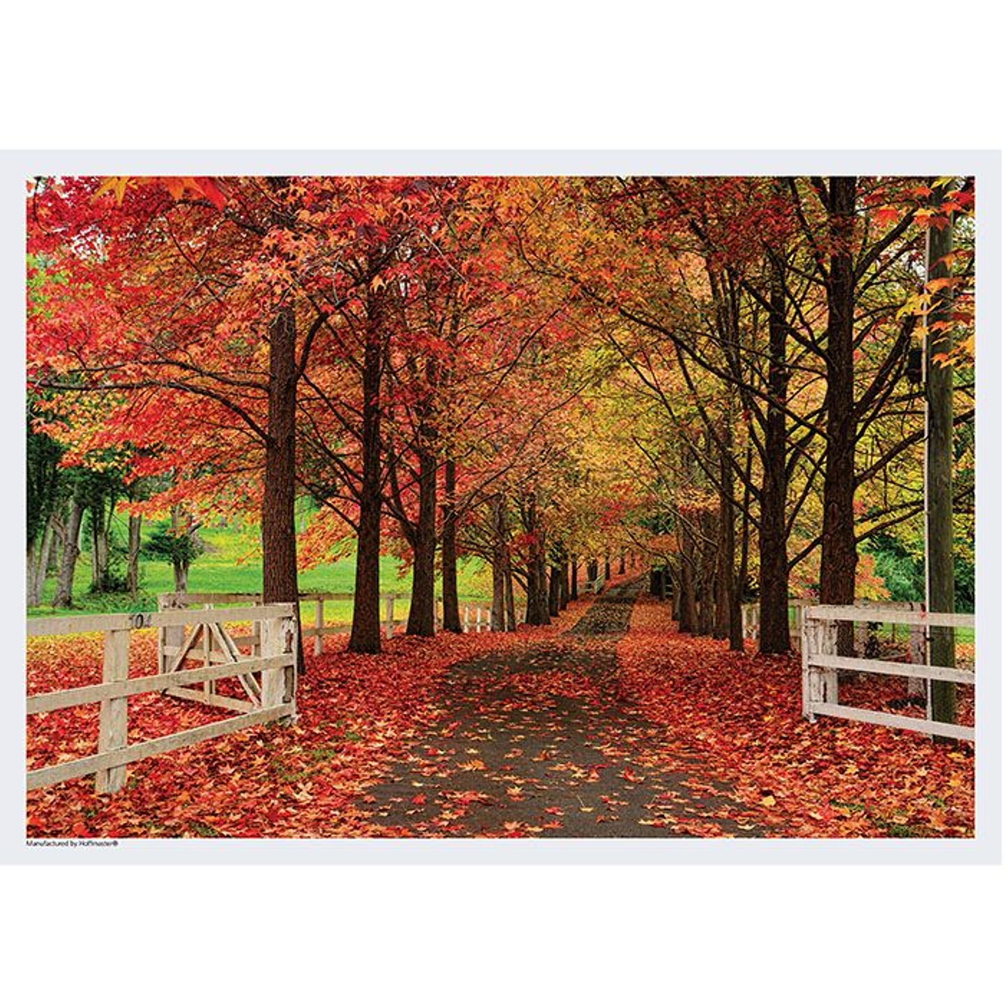 Autumn Road Disposable Paper Placemats - 10in. x 14in. - 50/Pack (702078AR)