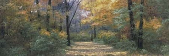 Autumn Road Panel Canvas Art - Diane Romanello (8 x 24)
