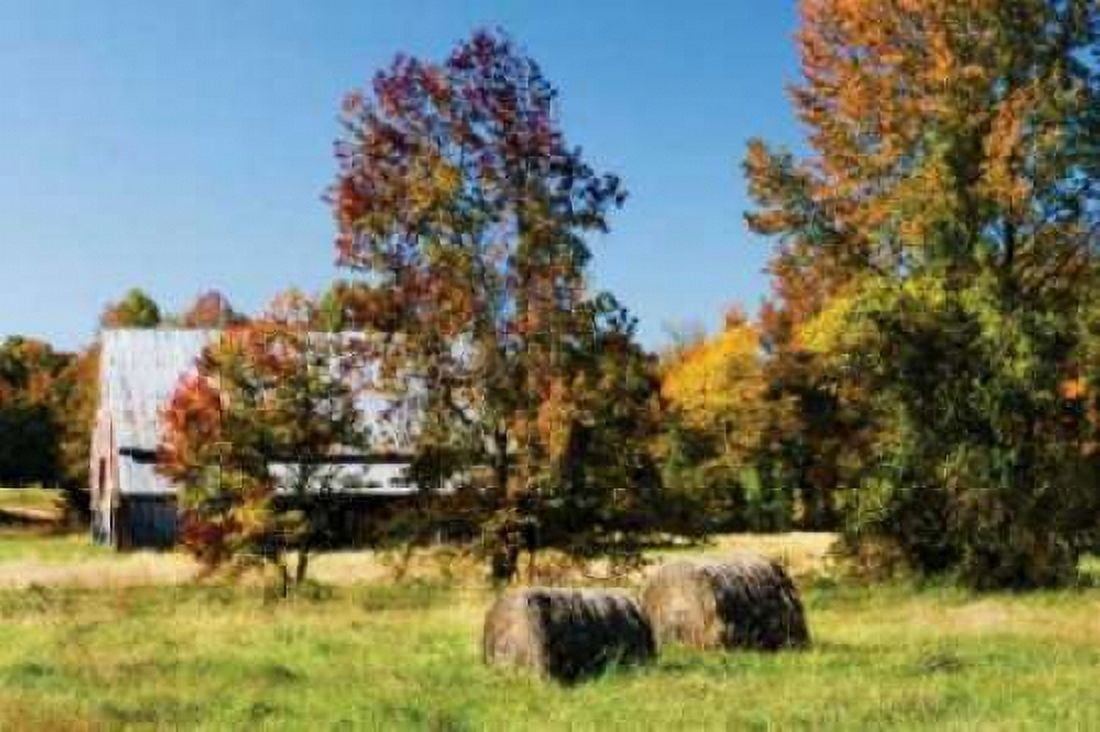 Autumn Scene I Canvas Art - Alan Hausenflock (24 x 36)