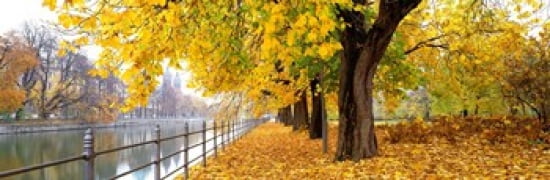 Autumn Scene Munich Germany Canvas Art - Panoramic Images (36 x 12)