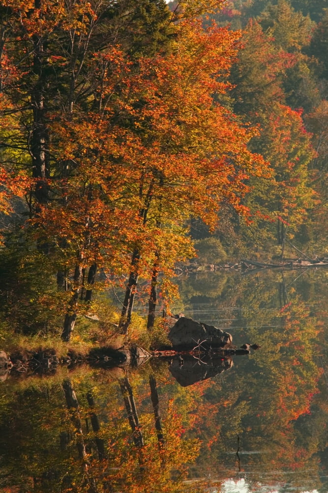 Autumn Scenic Canvas Art - Alan Marsh Design Pics (12 x 18)