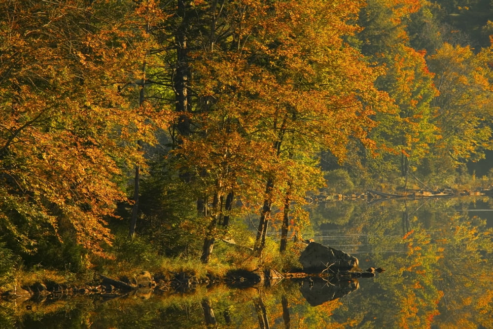 Autumn Scenic Canvas Art - Alan Marsh Design Pics (18 x 12)