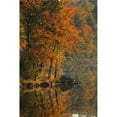 thumbnail image 1 of Autumn Scenic Poster Print, 1 of 2