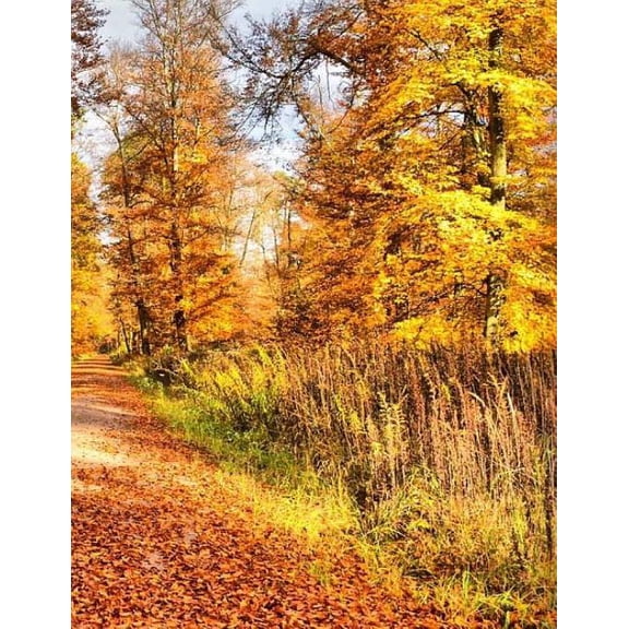 Autumn Season Spring Summer Winter: Notebook (Paperback)