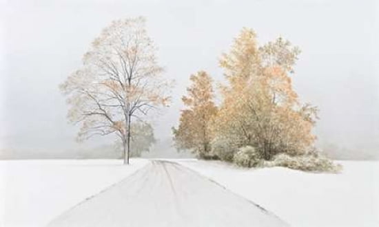 Autumn Snowfall Canvas Art - Alexander Volkov (24 x 36)