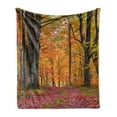 thumbnail image 1 of Autumn Soft Flannel Fleece Throw Blanket, Fall Forest Shady Deciduous Trees and Faded Leaf Magic Woodland Picture, Cozy Plush for Indoor and Outdoor Use, 70" x 90", Apricot Brown Red, by Ambesonne, 1 of 6