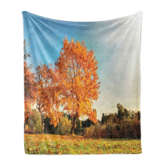 Autumn Soft Flannel Fleece Throw Blanket, Autumn Sight with Pale Falling Leaves in the Park Foliage Nature Season Concept, Cozy Plush for Indoor and Outdoor Use, 60" x 80", Orange Blue, by Ambesonne