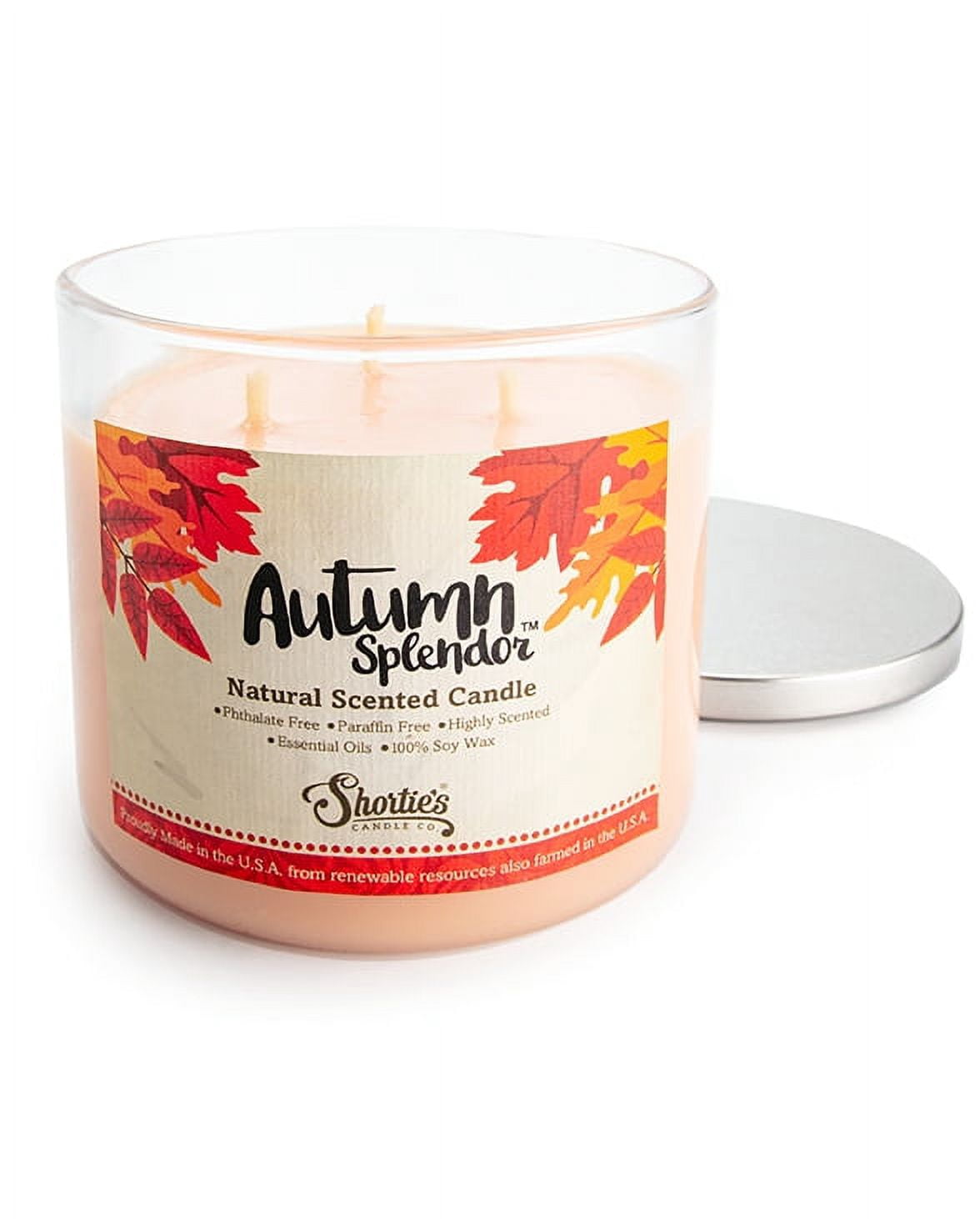 Autumn Splendor All Natural 3 Wick Candle - Made with Responsibly Sourced Soy and Essential Fragrance Oils - Phthalate & Paraffin Free, Vegan, Non-Toxic