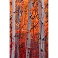 thumbnail image 1 of "Autumn Splendor" Painting Print on Wrapped Canvas, 1 of 7