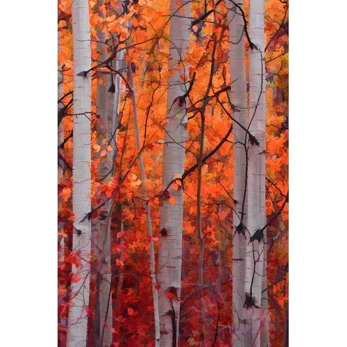 "Autumn Splendor" Painting Print on Wrapped Canvas
