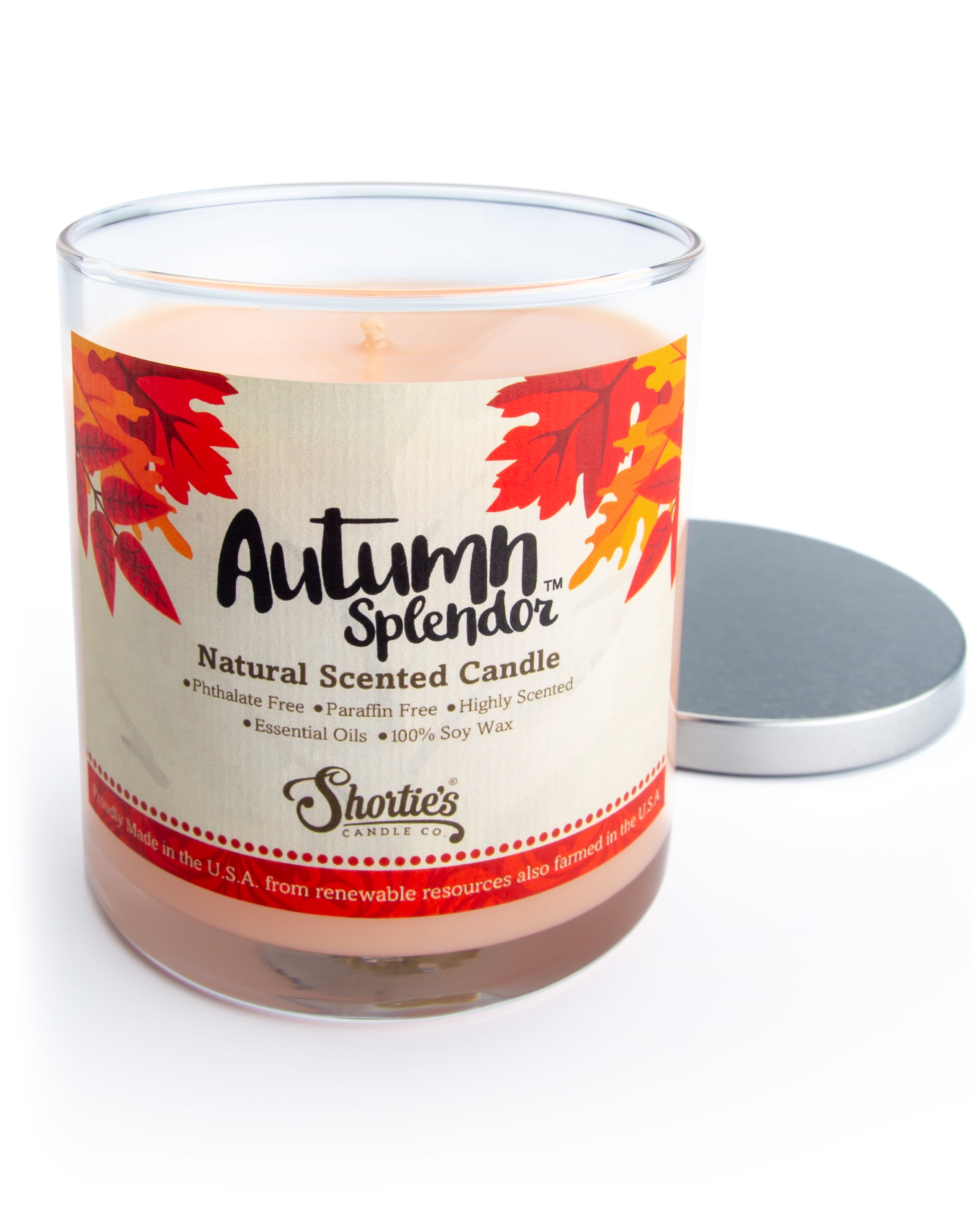 Autumn Splendor Scented Natural Soy Candle, Essential Fragrance Oils