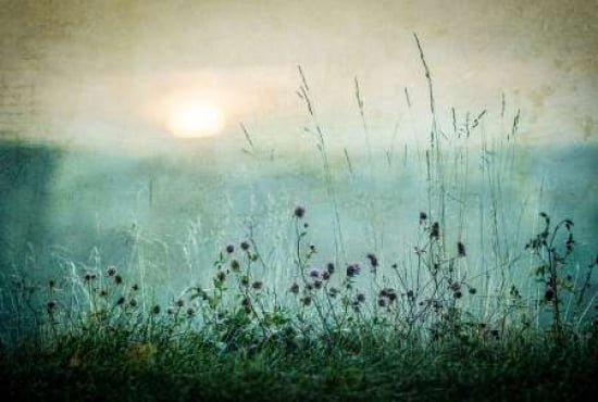 Autumn Sunrise Canvas Art - smund Kvrnstrm (12 x 18)