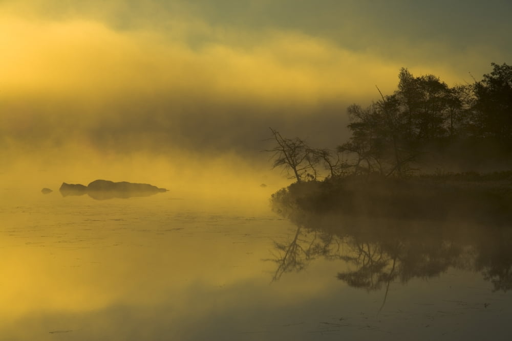 Autumn Sunrise Through Heavy Lake Mist Bedford Nova Scotia Canvas Art - Irwin Barrett Design Pics (36 x 24)