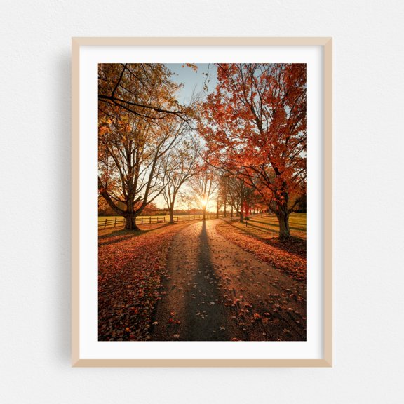 Autumn Sunset, Knox Farm 01 - East Aurora New York Photography Autumn Scenic Landscape Nature Rural Sunset Oak Framed Wall Art Print 18 x 24 inches