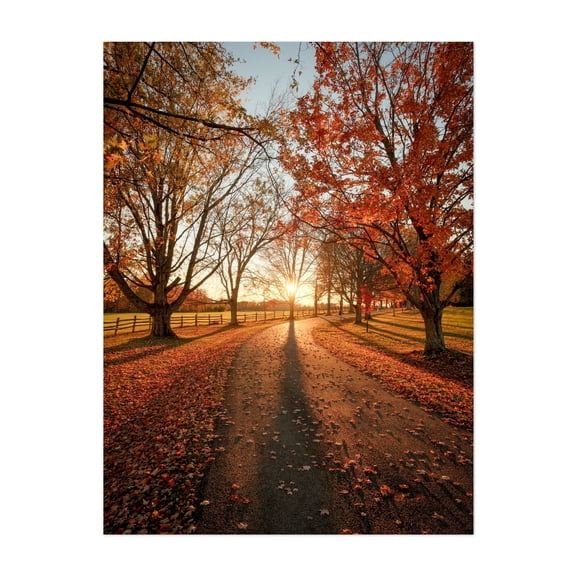 Autumn Sunset, Knox Farm 01 - East Aurora New York Photography Autumn Scenic Landscape Nature Rural Sunset Unframed Wall Art Print 16 x 20 inches