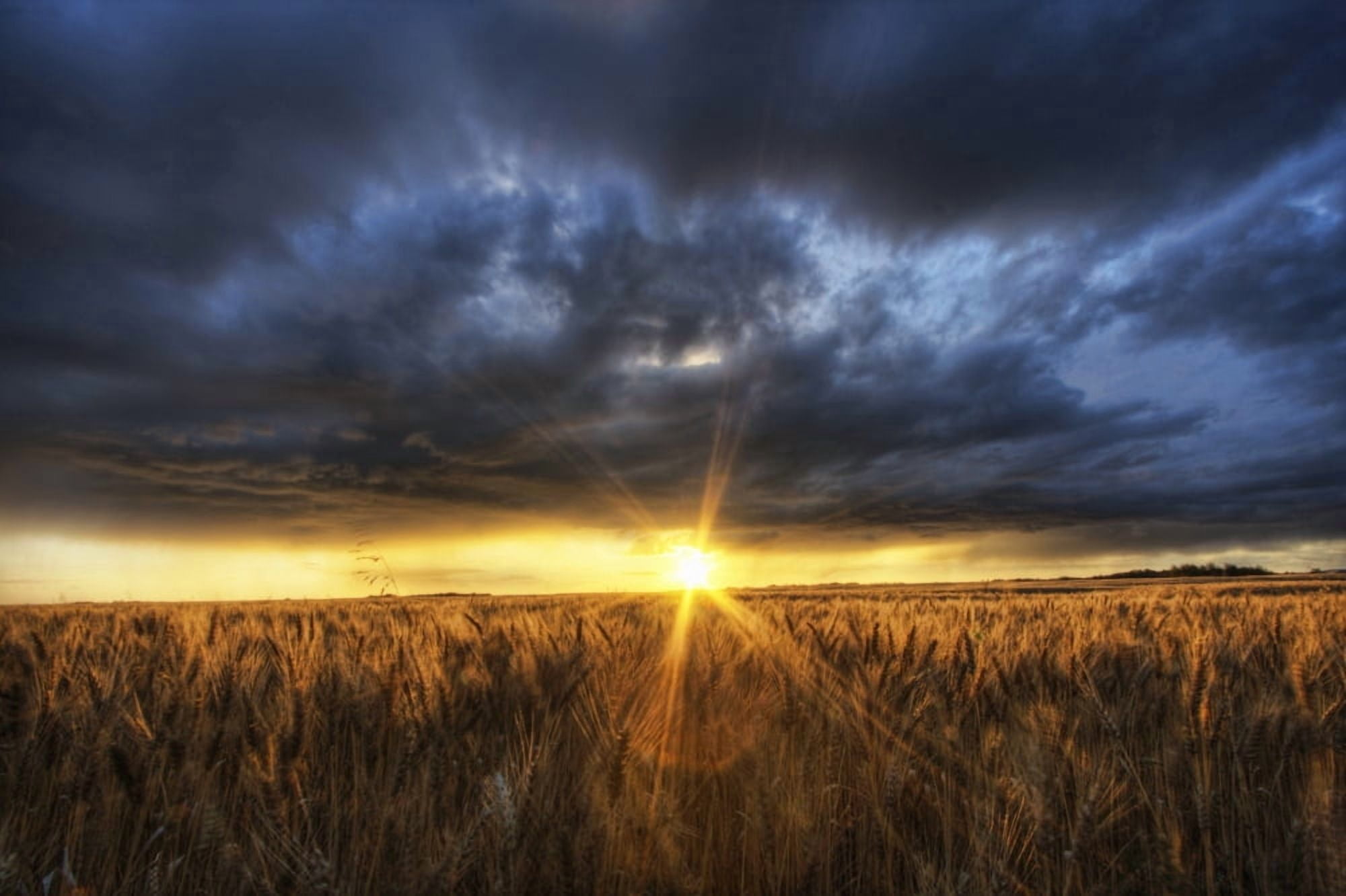 Autumn Sunset Over A Barley Field On A Farm North Of Edmonton Alberta Canvas Art - Dan Jurak Design Pics (17 x 11)