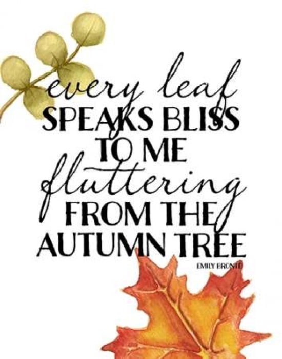 Autumn Tree Canvas Art - Amy Cummings (22 x 28)
