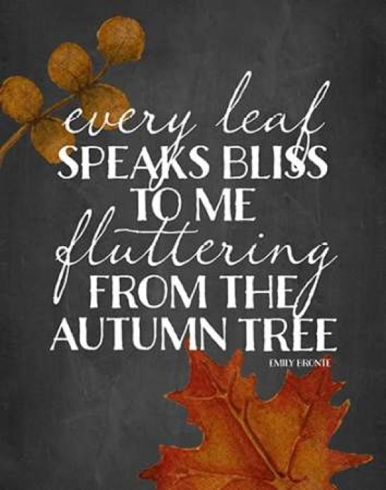 Autumn Tree Chalkboard Canvas Art - Amy Cummings (22 x 28)