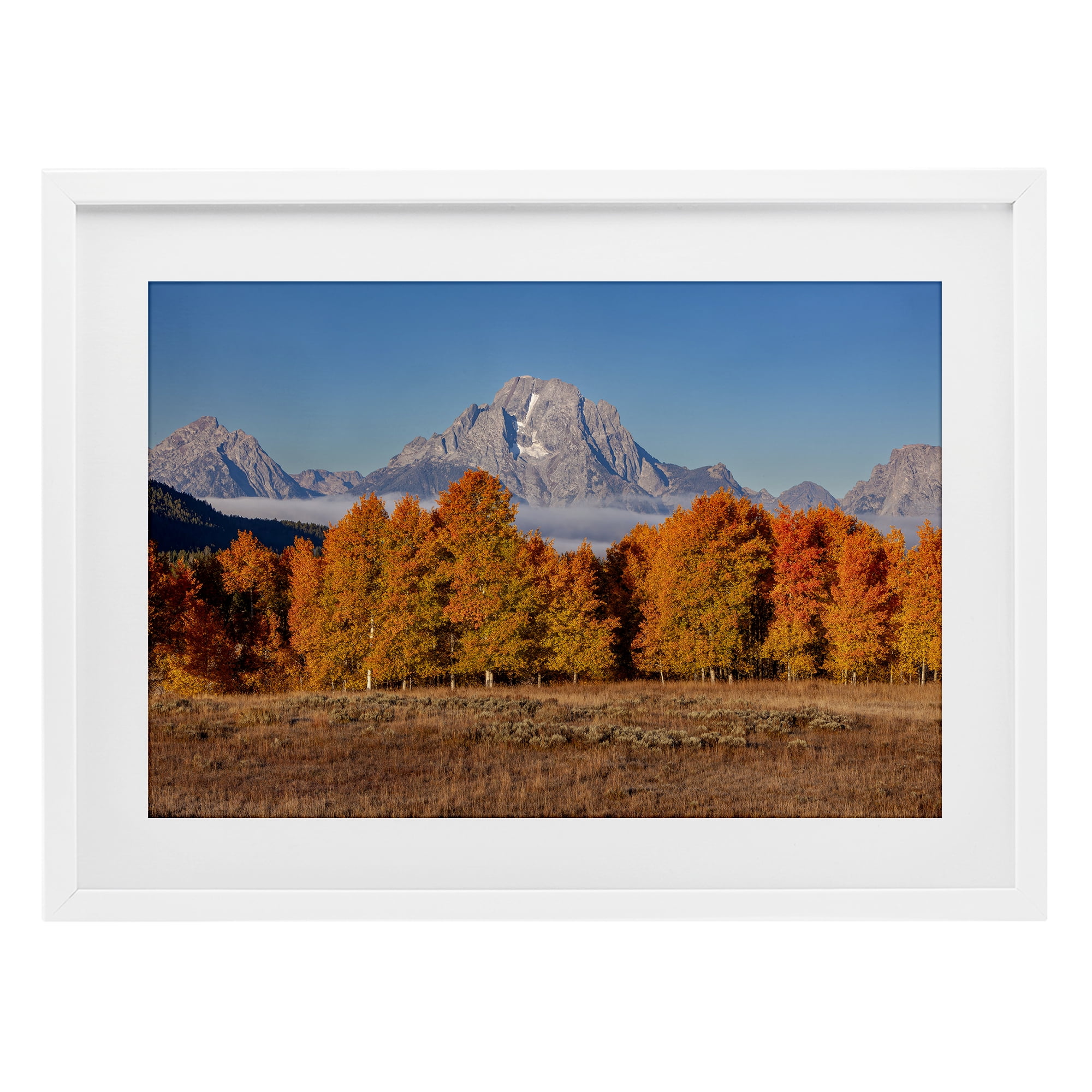 Autumn Tree Line With Mountain White Framed Print Under Glass, design by Shelley Carlisle