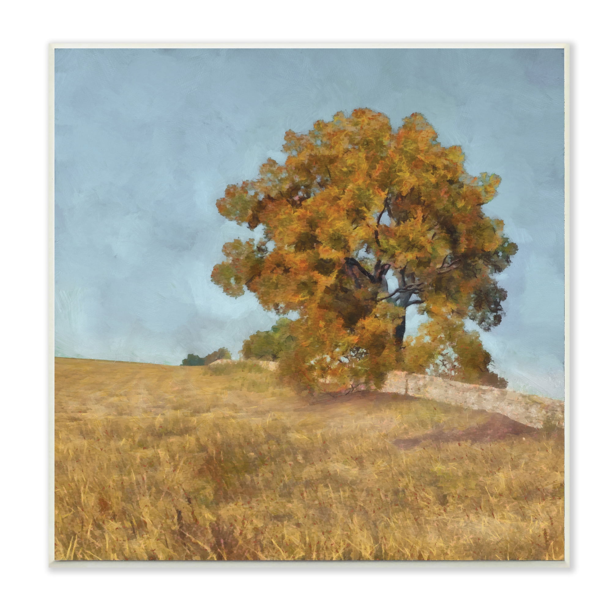 Stupell Industries Autumn Tree on Grassy Hill Country Landscape,12 x 12,Designed by Alonzo Saunders