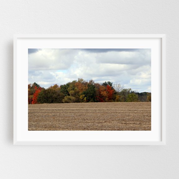 Autumn Trees - Battle Creek Michigan Photography Autumn Landscape Rural Nature Scenic Woodland Farm White Framed Wall Art Print 24 x 36 inches