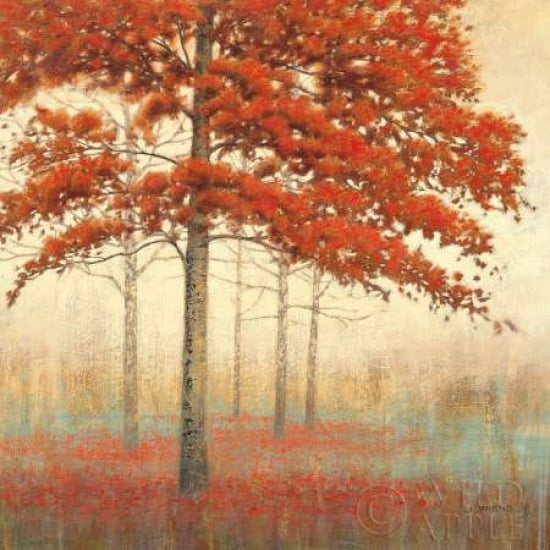 Autumn Trees II Canvas Art - James Wiens (24 x 24)