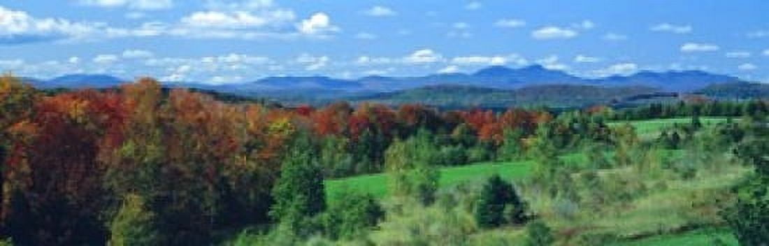 Autumn Trees VT Canvas Art - Panoramic Images (18 x 6)