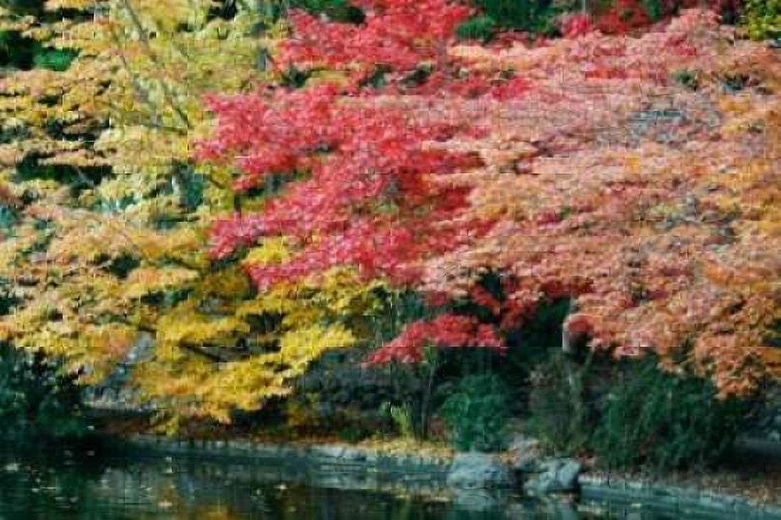 Autumn Trio I Canvas Art - Vitaly Geyman (24 x 36)