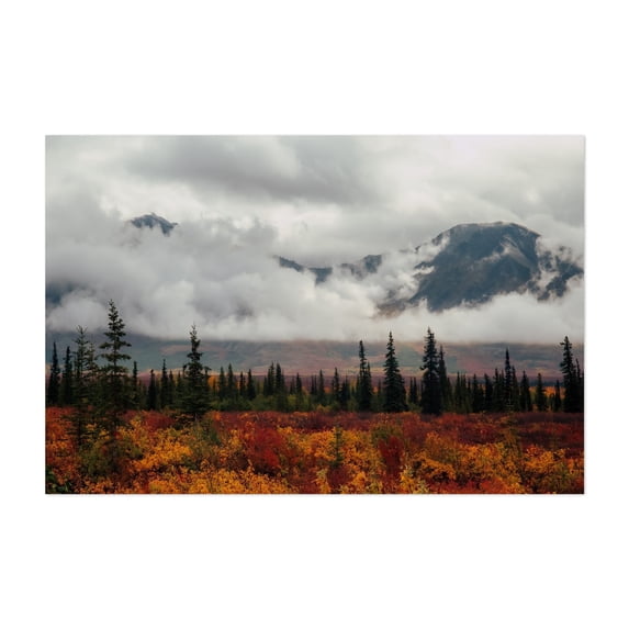 Autumn Up North V - Alaska Photography Autumn Landscape Mountain Foggy ...