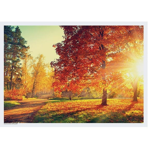 Autumn Walk Disposable Paper Placemats - 10in. x 14in. - 50/Pack (702078)