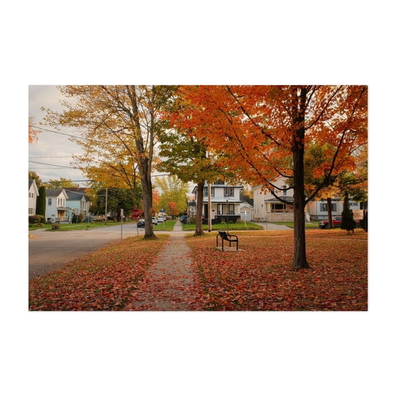 Autumn at Washington Park, Dunkirk - Dunkirk New York Photography Autumn Scenic Countryside Street Photography Rural Unframed Wall Art Print 4 x 6 inches