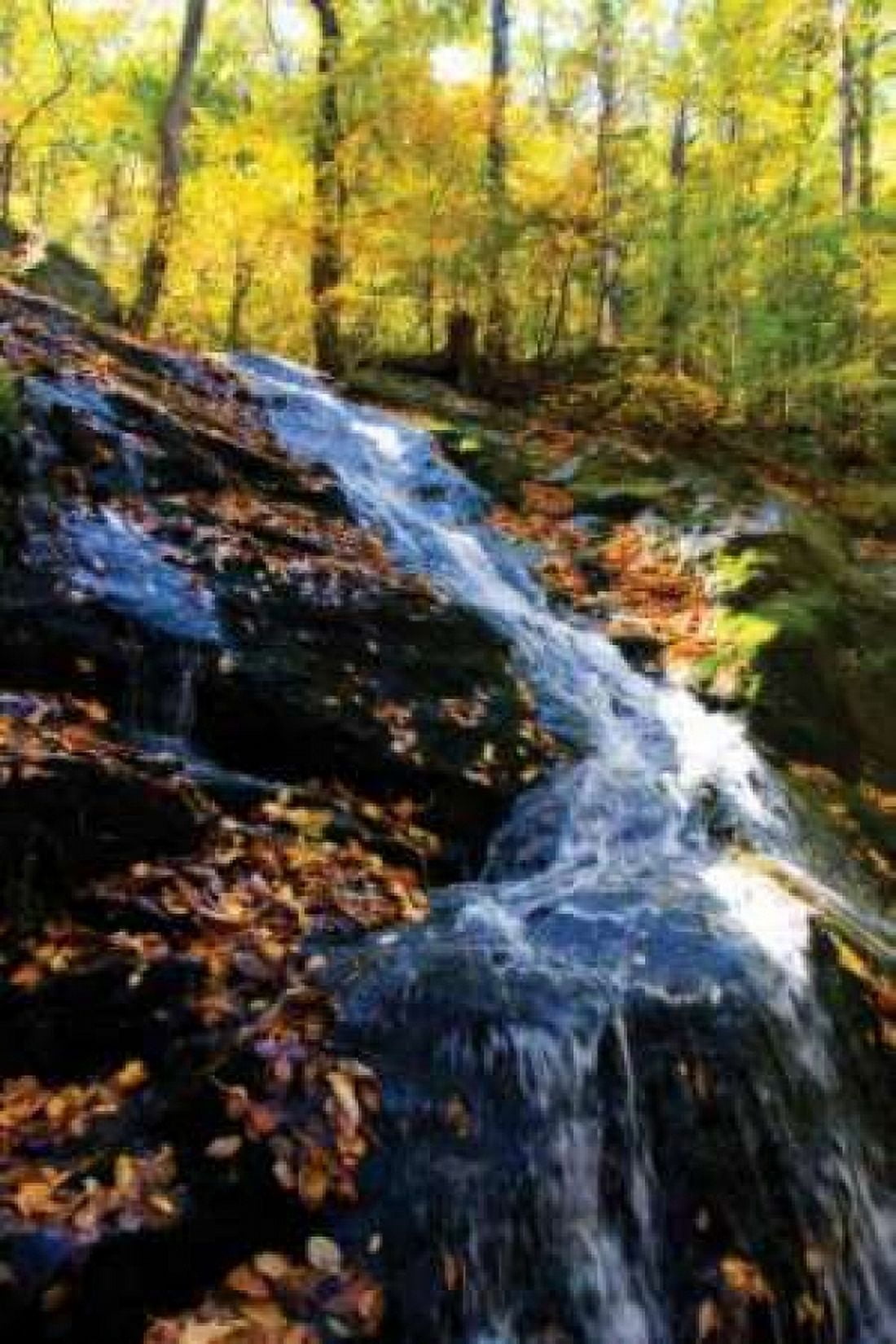 Autumn Waterfall I Canvas Art - Alan Hausenflock (12 x 18)