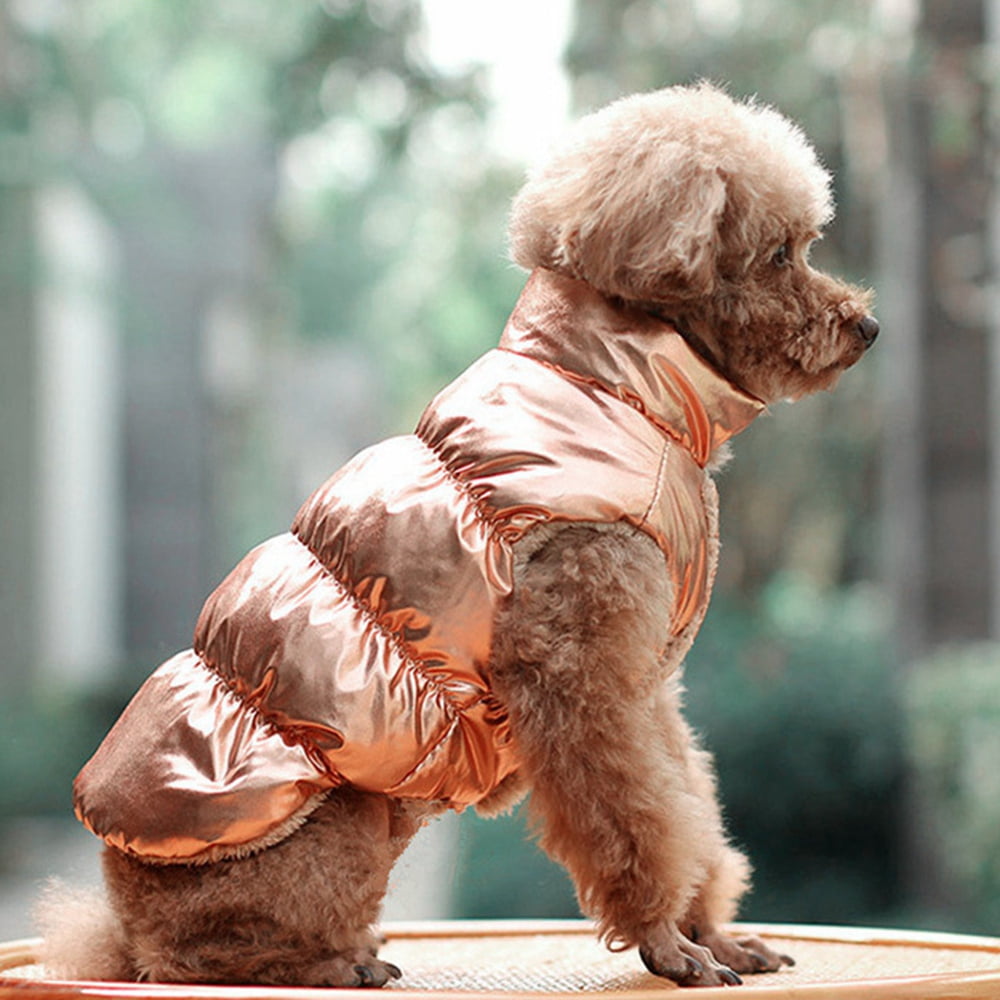 Chihuahua puffer jacket best sale