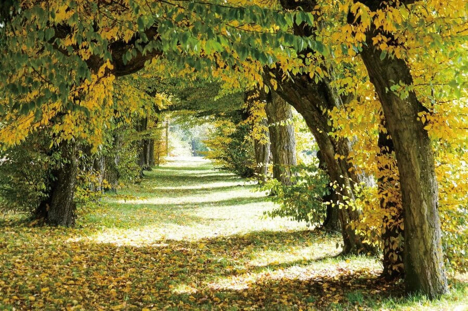 Autumn Fallen Leaves Forest Photography Sweep Backdrop