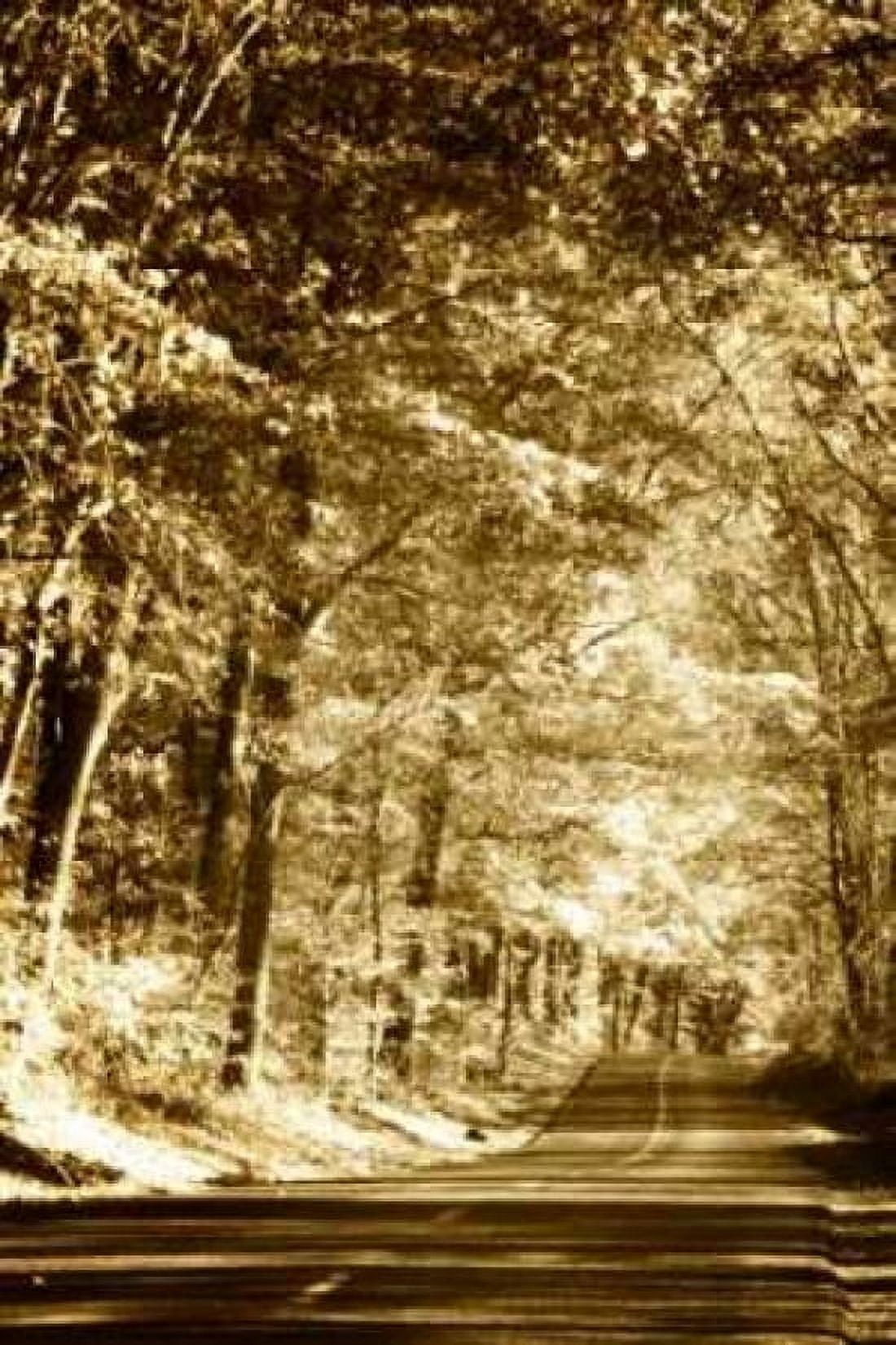 Autumn Wood Road III Canvas Art - Alan Hausenflock (20 x 28)