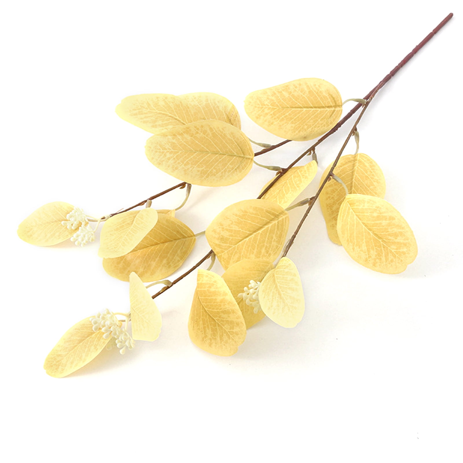 Autumn Yellow Simulation With Fruit Eucalyptus Leaves Morandi Color