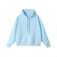 thumbnail image 1 of Autumn and winter new 350G heavy basic solid color cotton hooded sweater trendy brand loose men's Christmas gift, 1 of 9