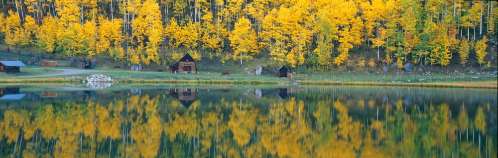 Autumn aspens along Route 550 North Durango Colorado Canvas Art - Panoramic Images (36 x 12)
