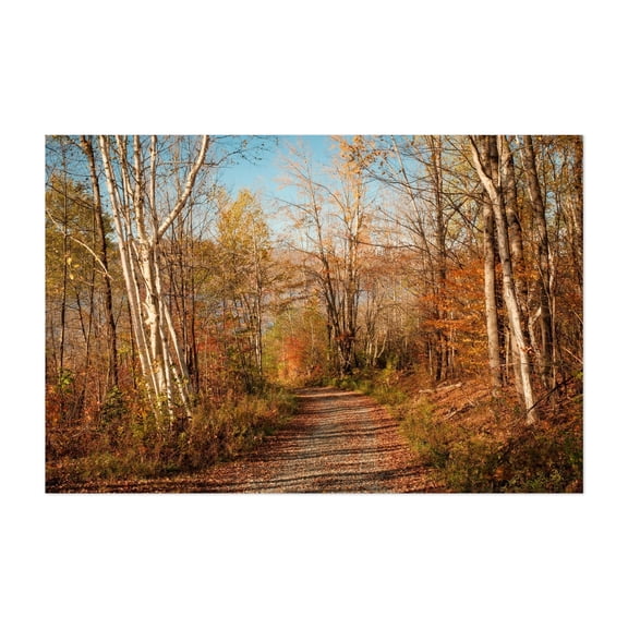 Autumn at Cannonsville Reservoir - New York Photography Autumn Woodland Forest Nature Scenic Landscape Woods Unframed Wall Art Print 4 x 6 inches