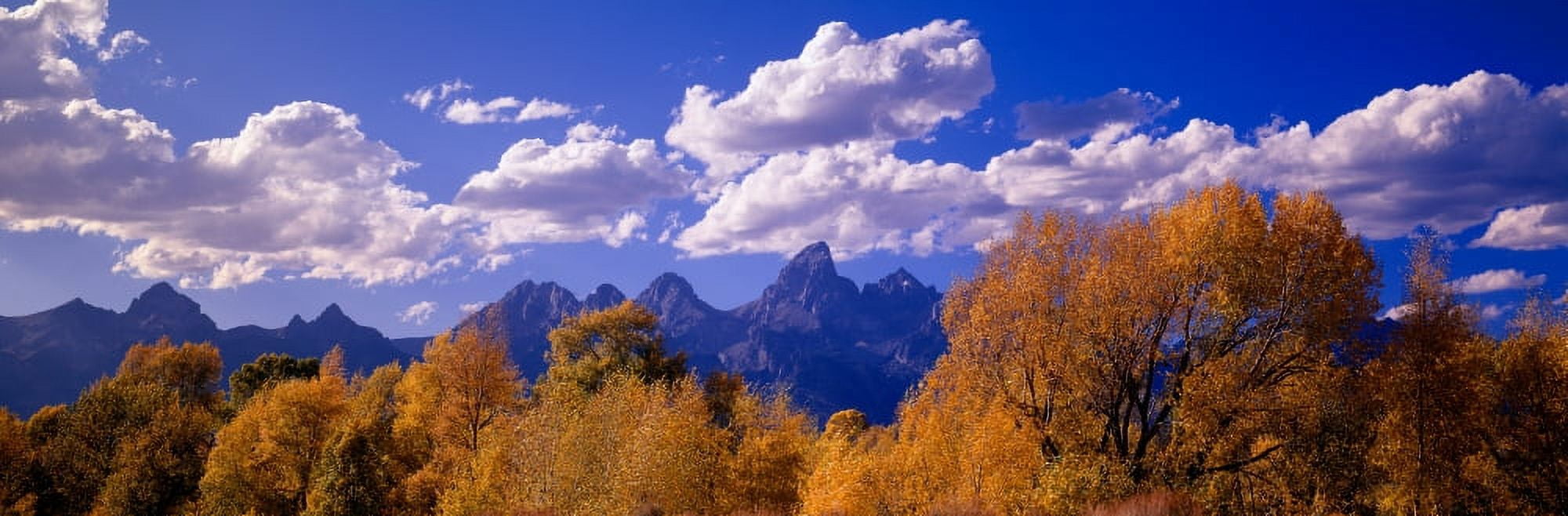 Autumn at Grand Tetons Grand Teton National Park Wyoming Canvas Art - Panoramic Images (36 x 12)