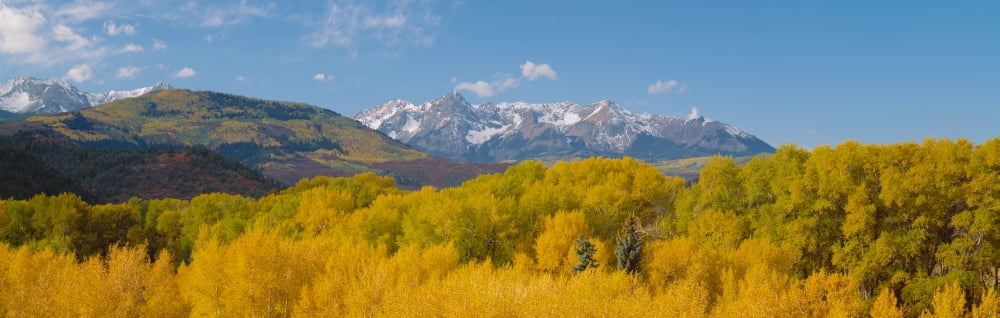 Autumn at Sneffels Mountain Range San Juan National Forest Colorado Canvas Art - Panoramic Images (36 x 12)