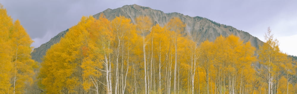 Autumn clouds at Kebler Pass Gunnison National Forest Colorado Canvas Art - Panoramic Images (27 x 9)