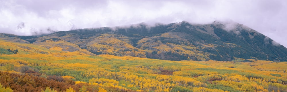 Autumn clouds at Kebler Pass Gunnison National Forest Colorado Canvas Art - Panoramic Images (36 x 12)