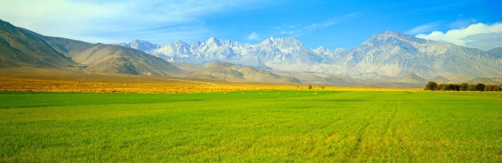 Autumn color along Highway 395 Sierra Nevada California Canvas Art - Panoramic Images (27 x 9)